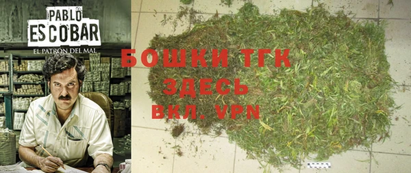 дурь Верхний Тагил